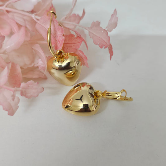 18K Micro-Gold Plated Double the Love Earrings